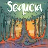 Sequoia